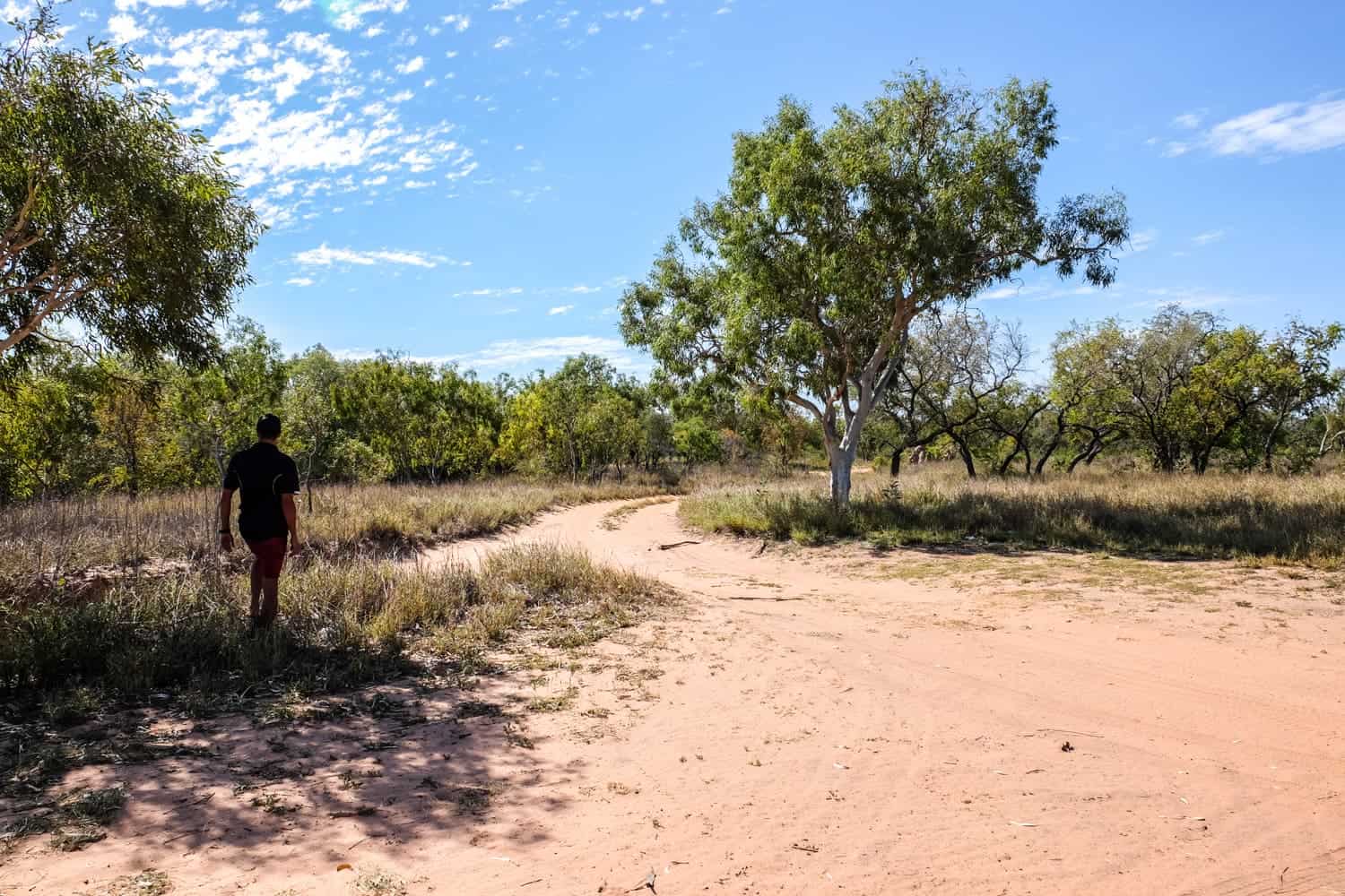 aboriginal walking tour broome