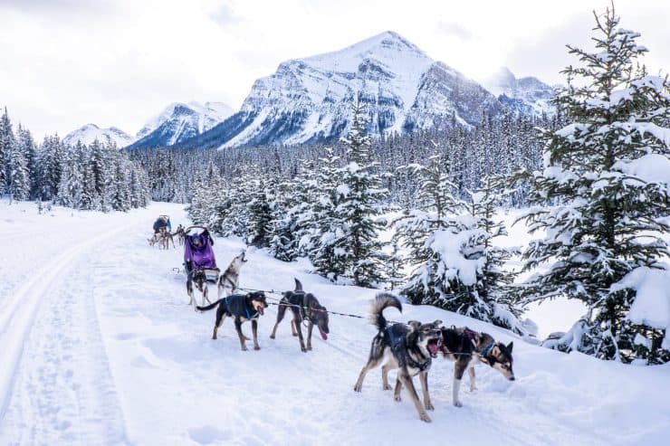 Winter in Lake Louise, Banff – Canadian Rocky Mountain Snow Adventure