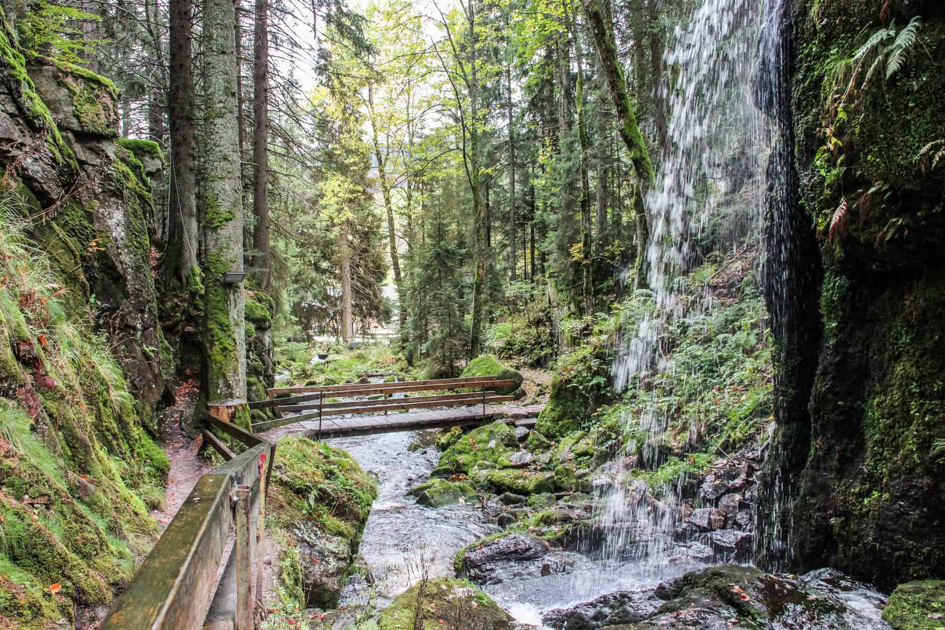 A narrow hiking path with a wooden barrier opposite a large forest-set waterfall. 