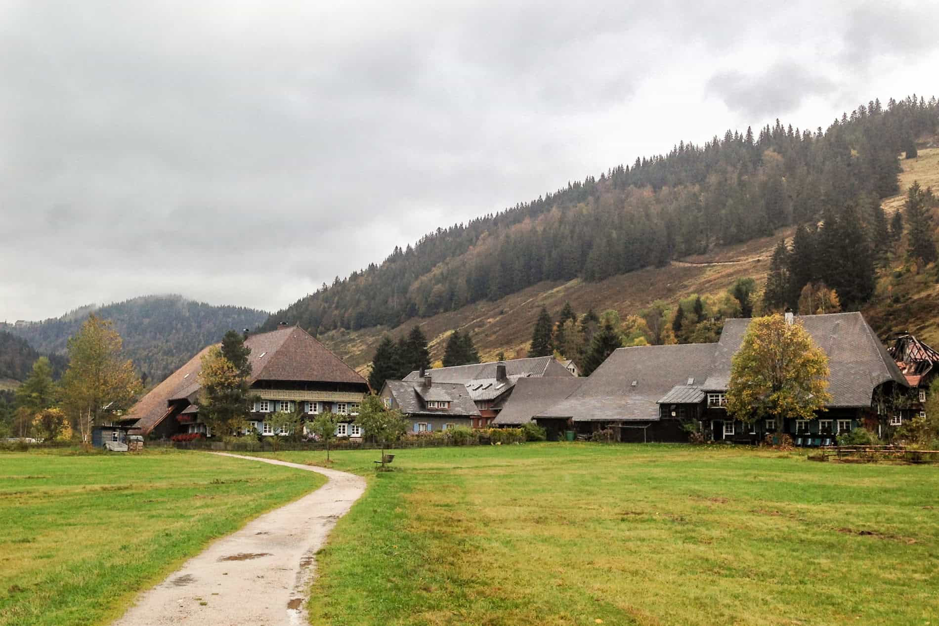 A cluster of half a dozen alpine huts in front of a forest slope half covered in trees. 