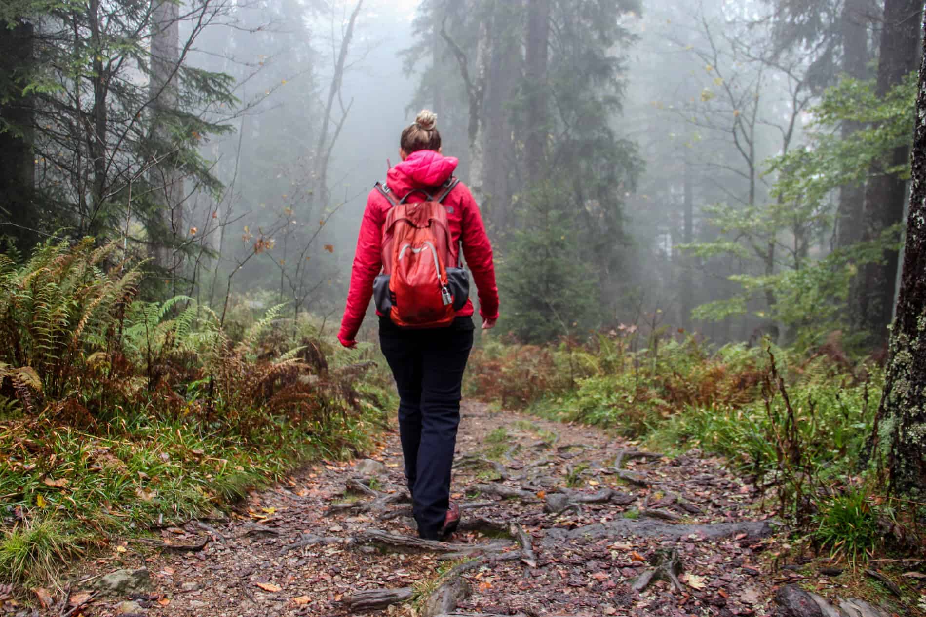 A woman in a red jacket and backpack, and blue hiking trousers walks on a leaf covered path in a misty forest. 