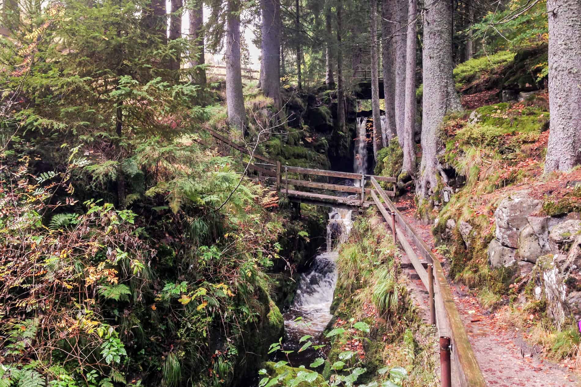 A narrow hiking path with a wooden fence that crosses over a ravine in a dense forest. 