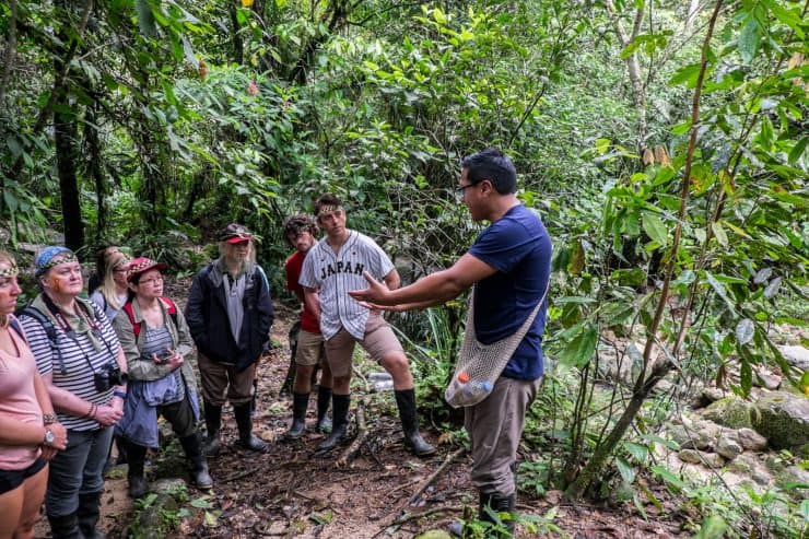 Ecuador Amazon Rainforest Guide for an Unforgettable Jungle Adventure