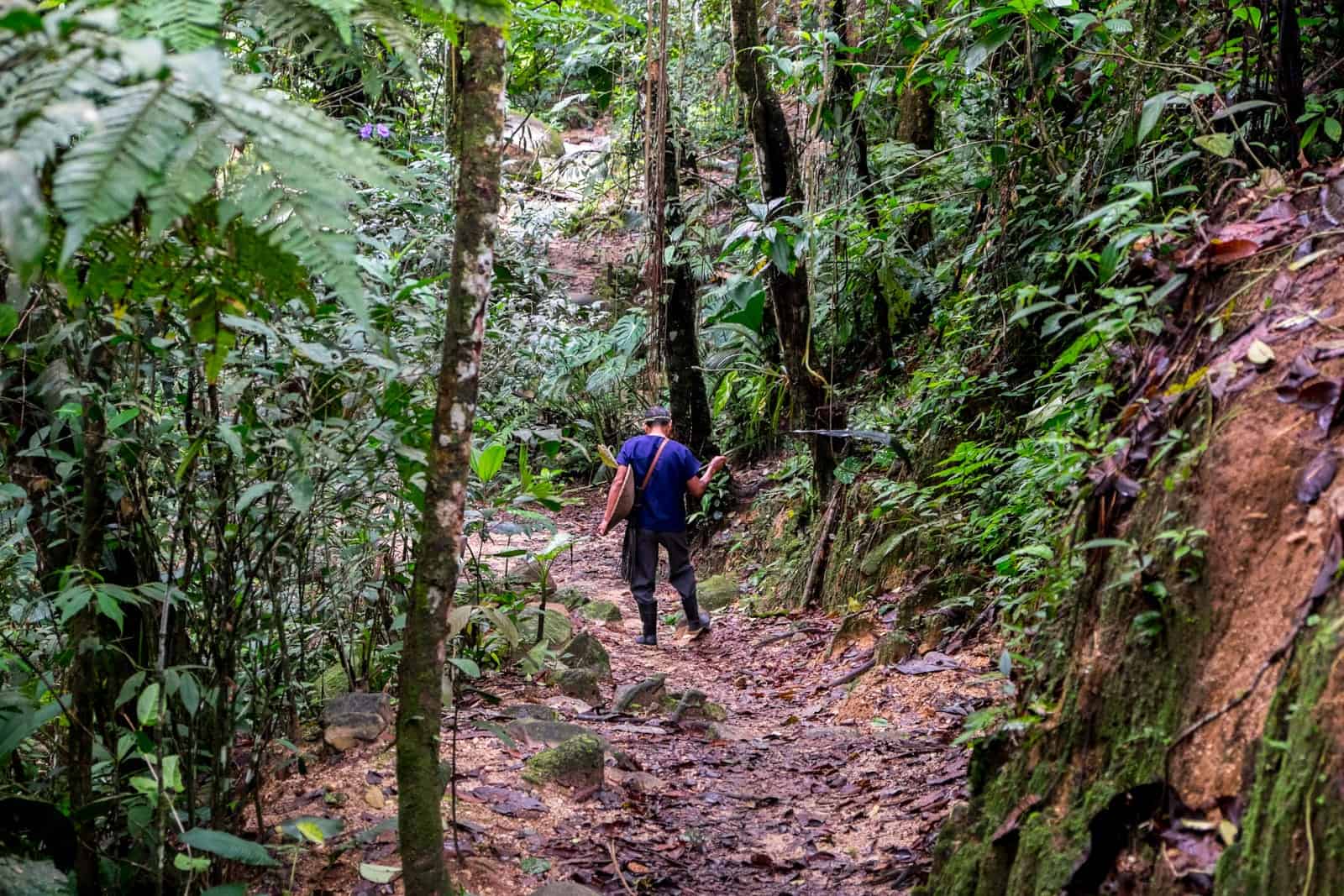 A man trekking on a muddy path through the dense Ecuador Amazon jungle.