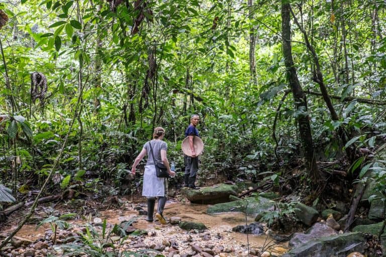 Ecuador Amazon Rainforest Guide - Unforgettable Jungle Adventure