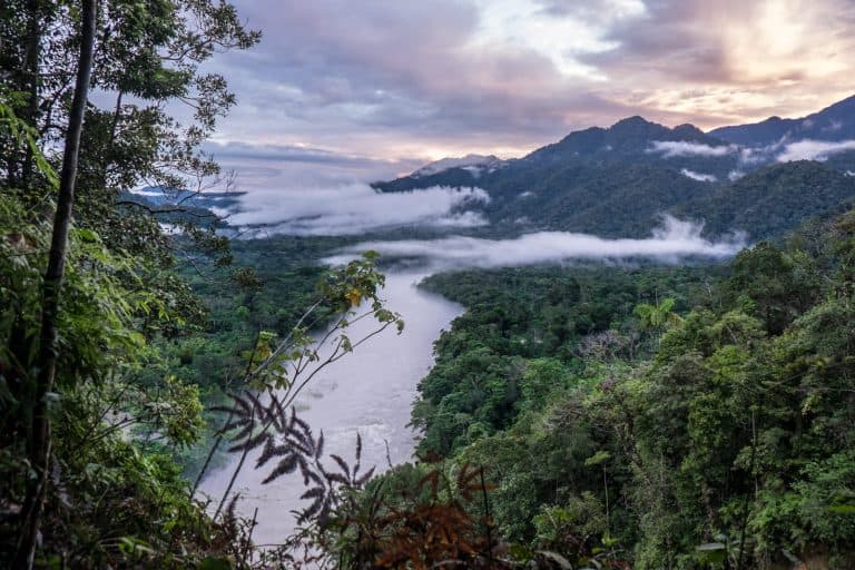 Ecuador Amazon Rainforest Guide Jungle Adventure
