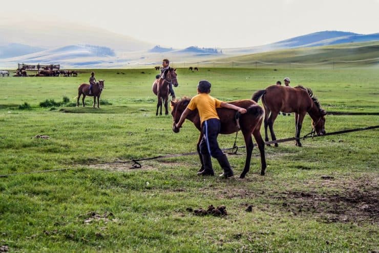 Visiting A Mongolian Ger – The Nomadic Culture of Mongolia