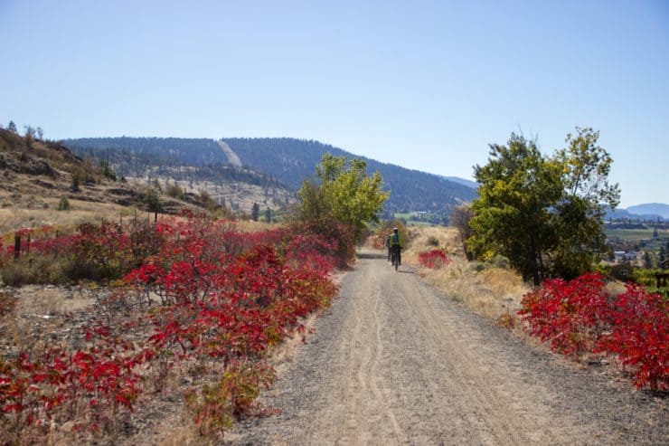 kettle valley railway bike trail