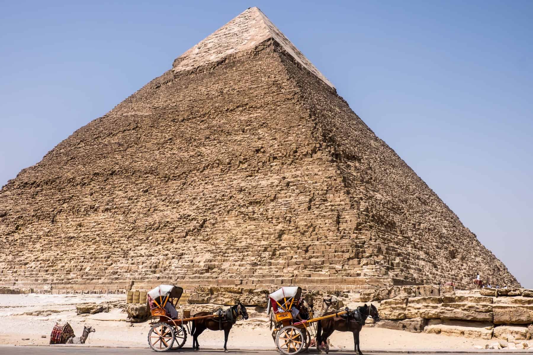 Two horses and carts stand in front of the middle Pyramid of Giza in Egypt, awaiting customers.