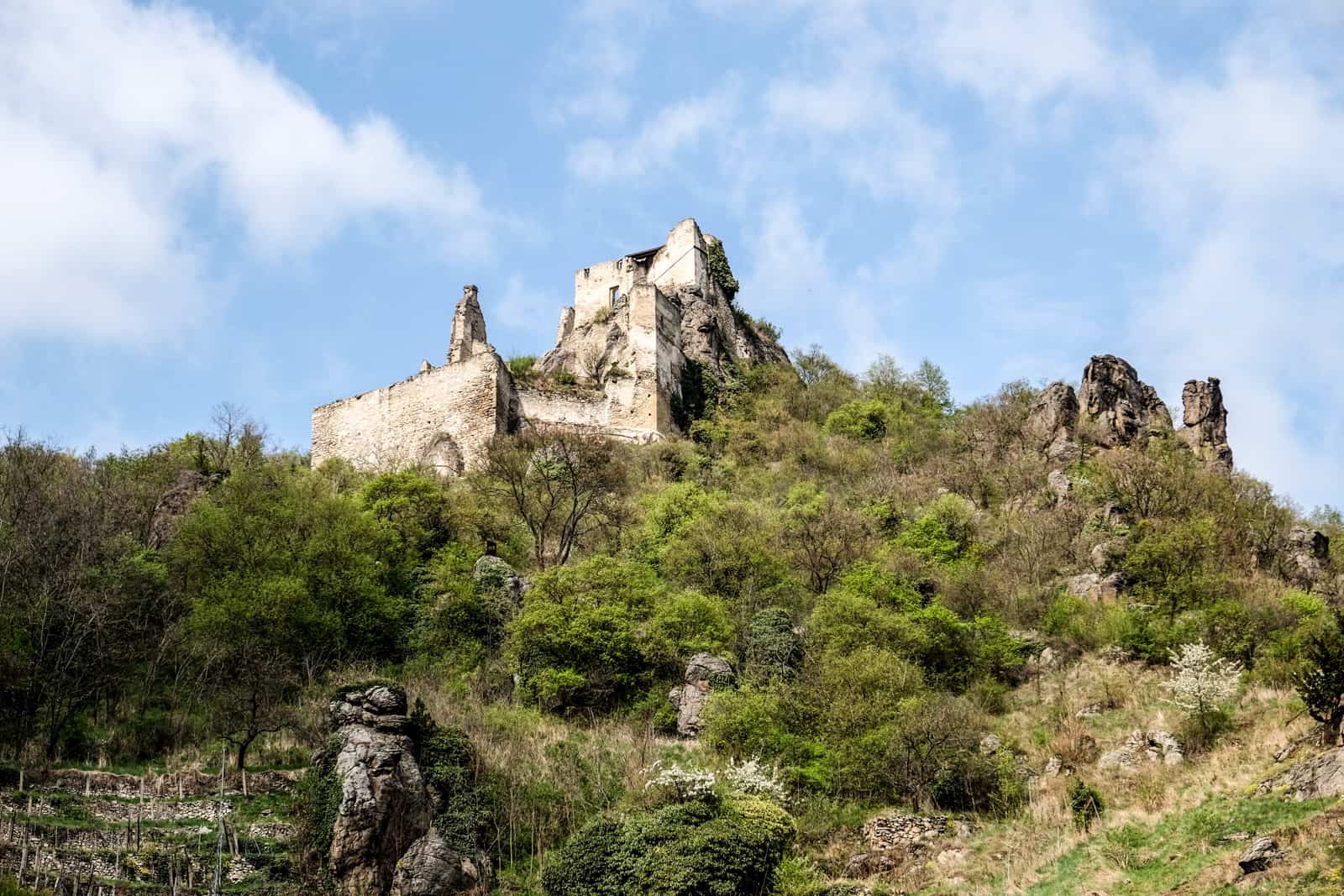 The crumbling stones of The Ruins of Drnstein Castle in the Wachau Valley poking out of grass and trees