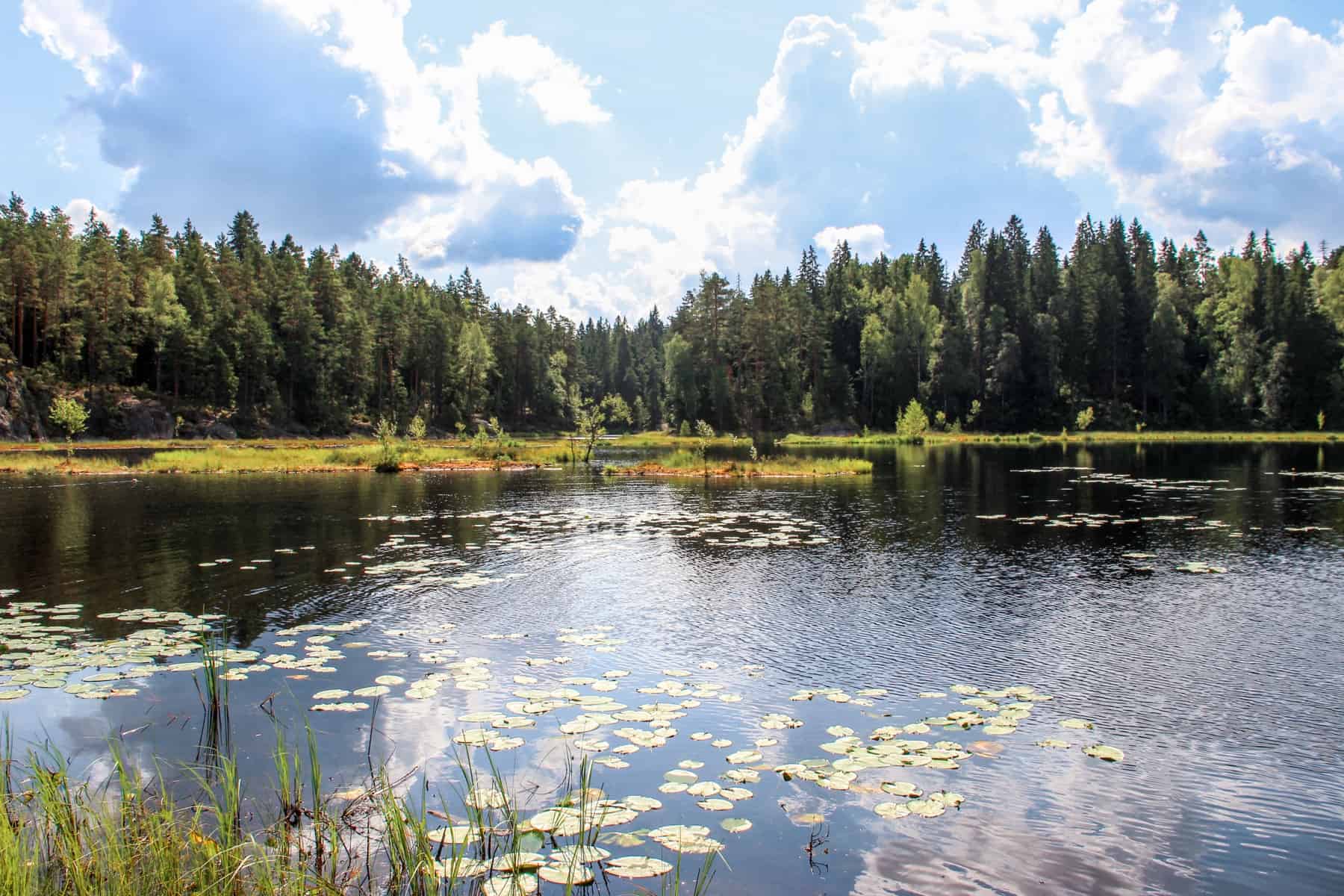 Finland For All – Everyman’s Right to Roam in Nature