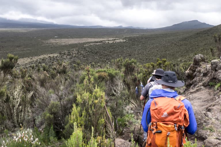 Climbing Kilimanjaro Trek Guide: Summit Africa's Highest Mountain