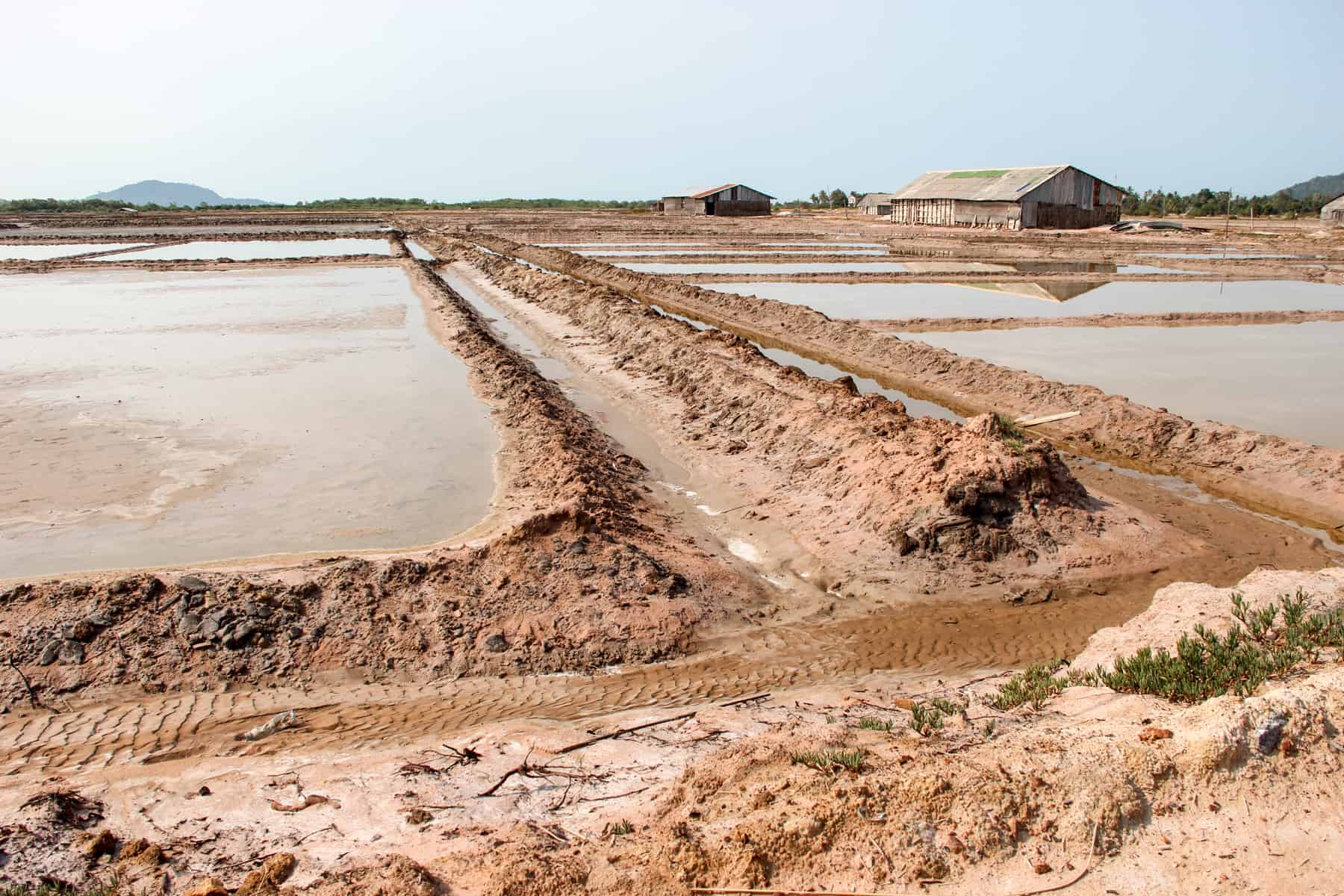 Pools of water with man made mud walls form the Kampot Salt Fields. In the distance is a large wooden storage building. 